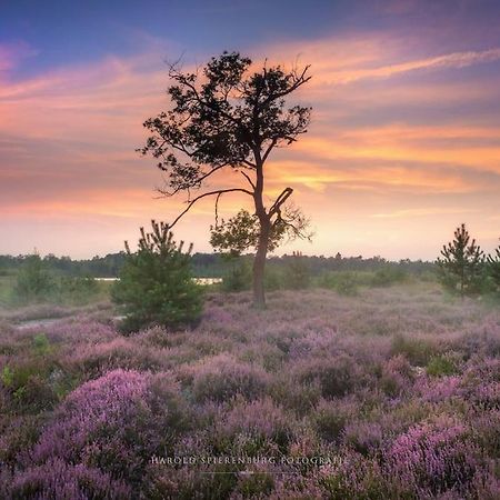 Natuurhuisje Oisterwijk Villa Bagian luar foto