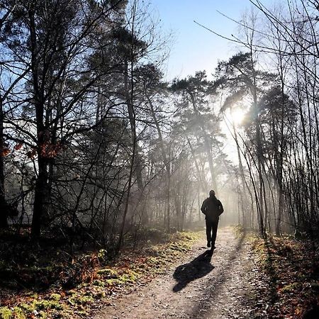 Natuurhuisje Oisterwijk Villa Bagian luar foto