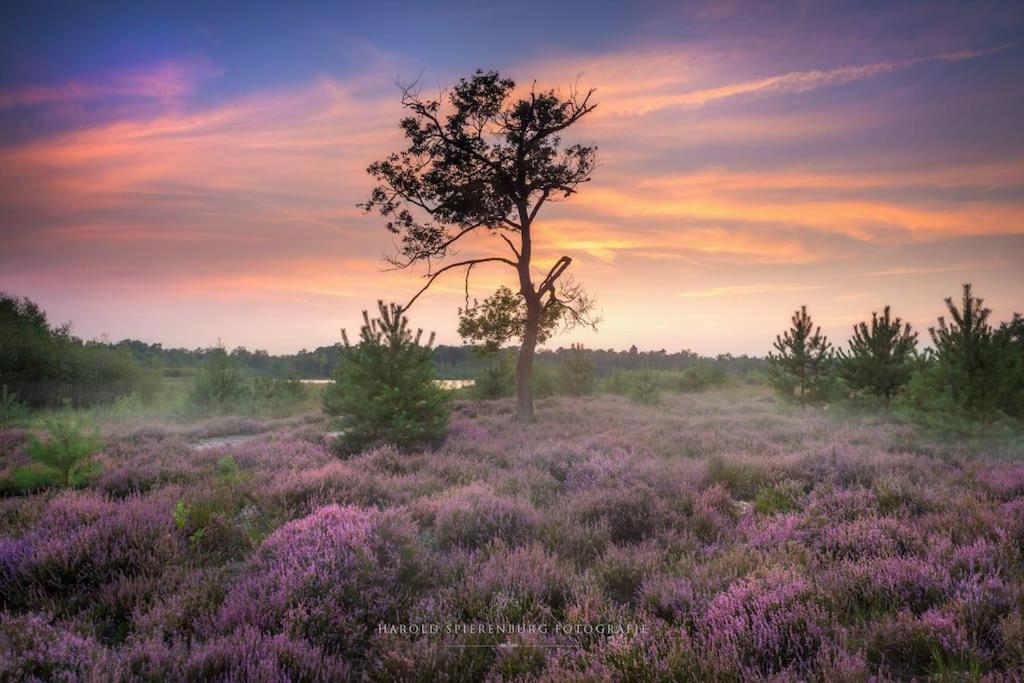 Natuurhuisje Oisterwijk Villa Bagian luar foto