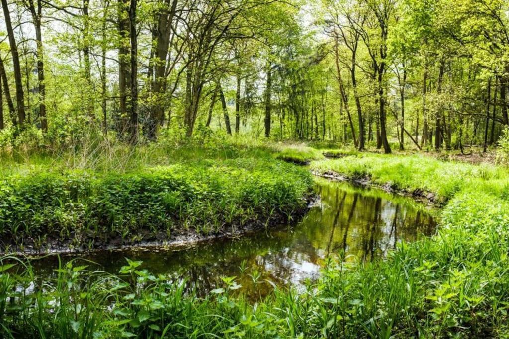 Natuurhuisje Oisterwijk Villa Bagian luar foto