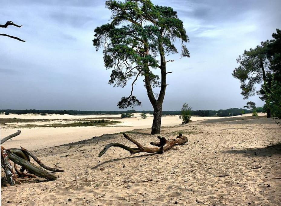 Natuurhuisje Oisterwijk Villa Bagian luar foto